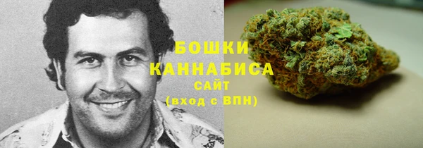 дживик Козельск