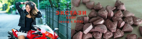 стафф Кодинск