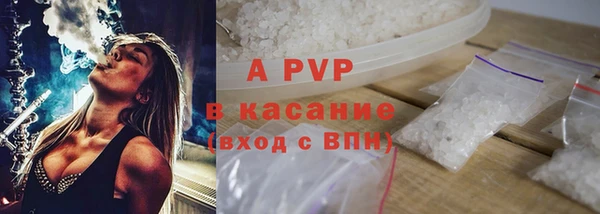 дживик Козельск