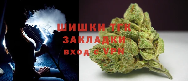стафф Кодинск