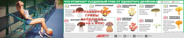 дживик Козельск