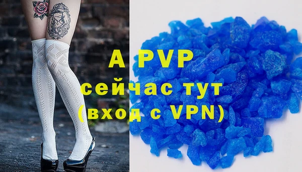 стафф Кодинск