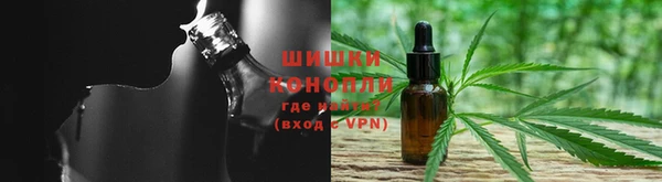 стафф Кодинск