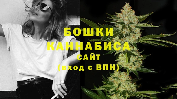 дживик Козельск