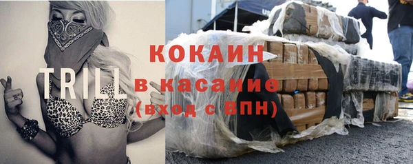 дживик Козельск