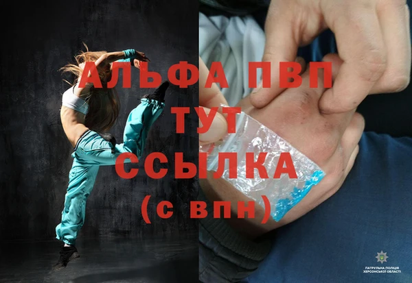 дживик Козельск