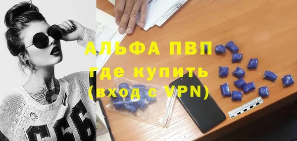 стафф Кодинск