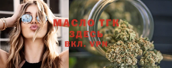 дживик Козельск